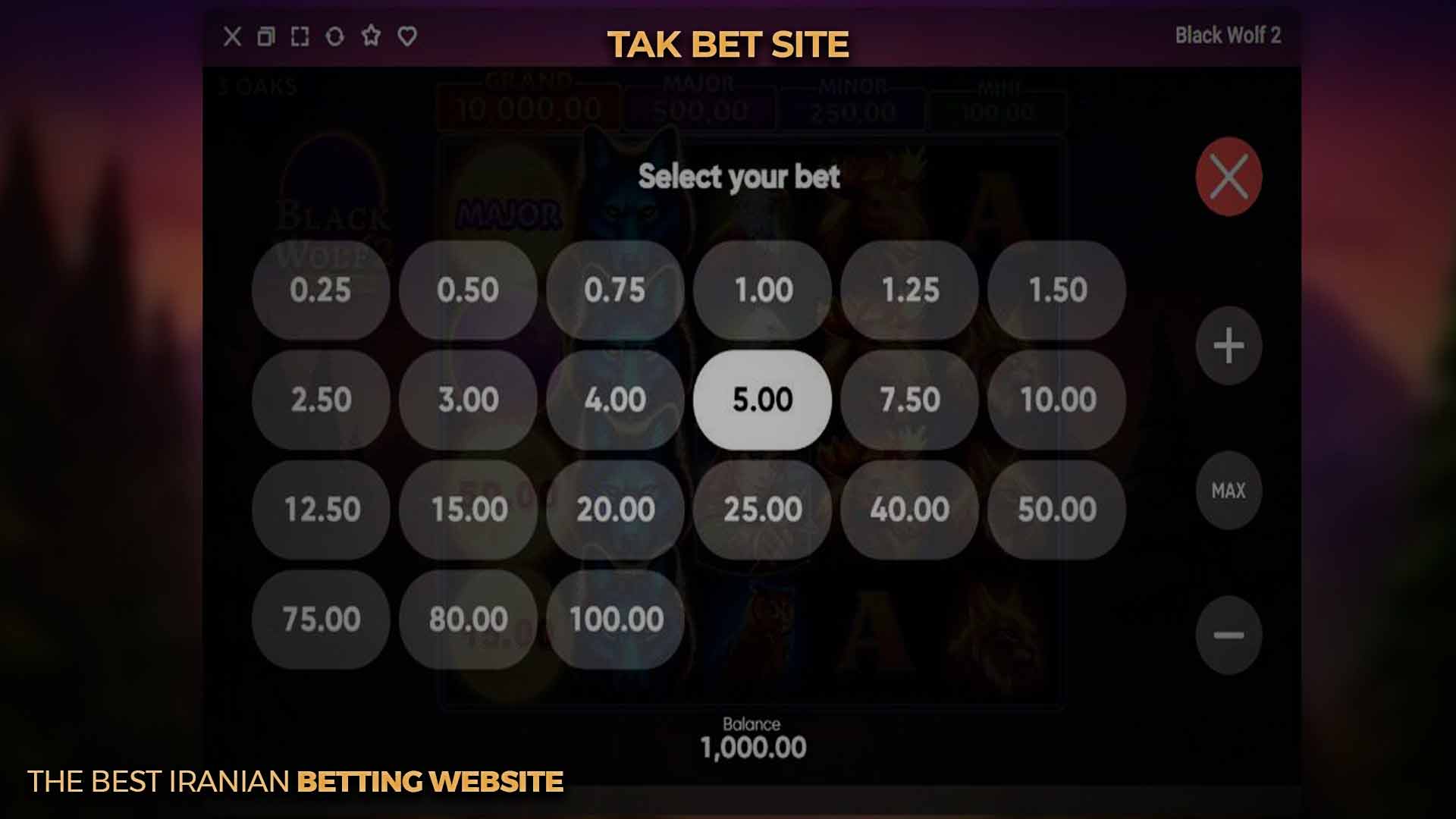 دکمه SELECT YOUR BET بازی بلک ولف 2 تک بت