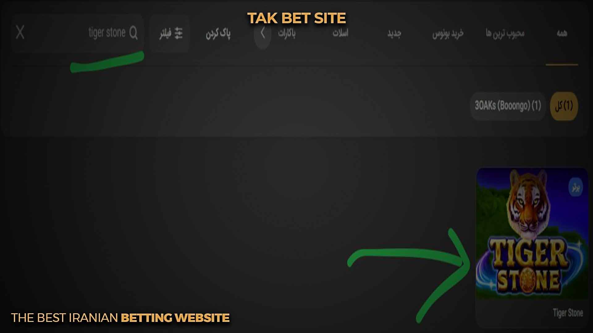 ورود به بازی تایگر استون تک بت