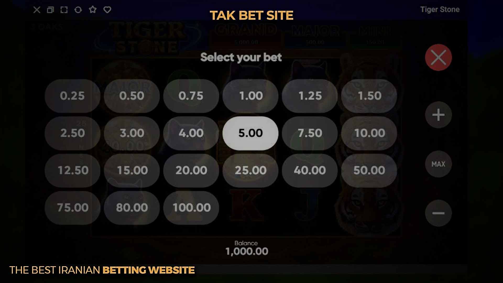 دکمه SELECT YOUR BET بازی تایگر استون تک بت